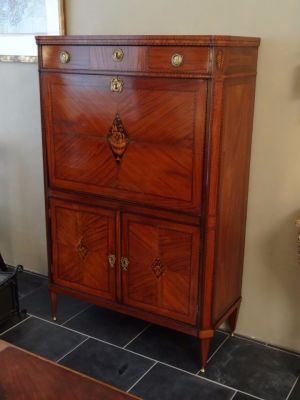 DSC01217 - Louis XVI secretaire met tropische houtsoorten ingelegd